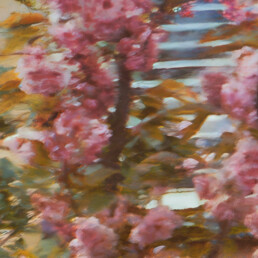 Photo with restored colour and improved vibrancy