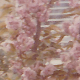 Old colour photo with faded tones and a yellow cast