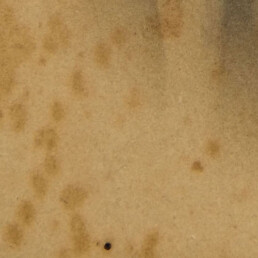 Old photo with heavy yellowing, stains and visible mould damage